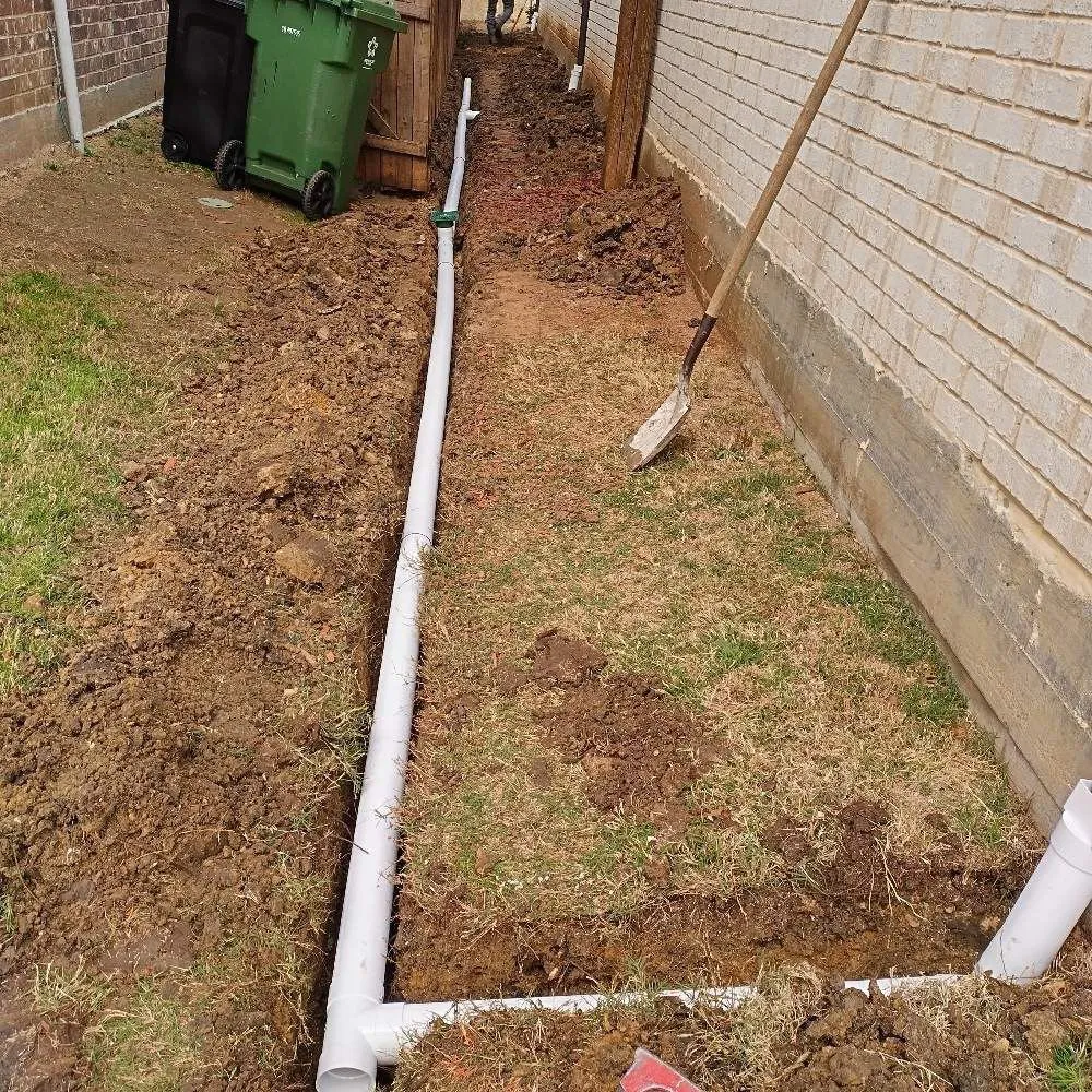 Professional outdoor landscaping in El Cajon, CA by Lazio Tree Services