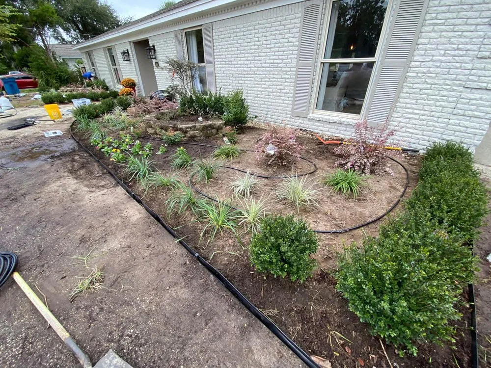 Affordable outdoor landscaping in El Cajon, CA - Lazio Tree Services