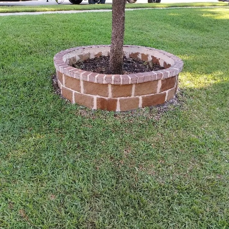 Top-rated lawn care service near you in El Cajon, CA by Lazio Tree Services