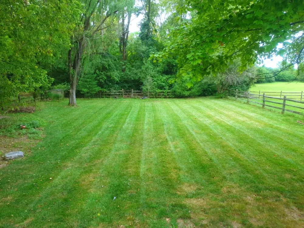 Custom landscape design experts serving West Chester Township, OH - Laziz Lawn Mowing