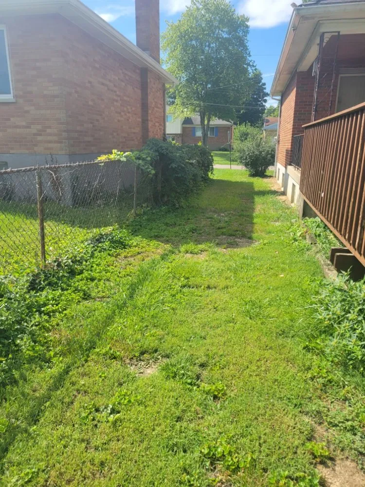 Professional lawn mowing service in West Chester Township, OH - Laziz Lawn Mowing