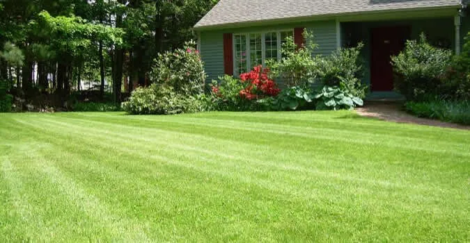 Professional yard cleanup service experts serving West Chester Township, OH - Laziz Lawn Mowing