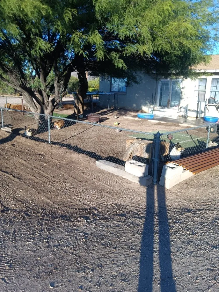 Trusted yard cleanup service in Tucson, AZ - Lazo Landscape