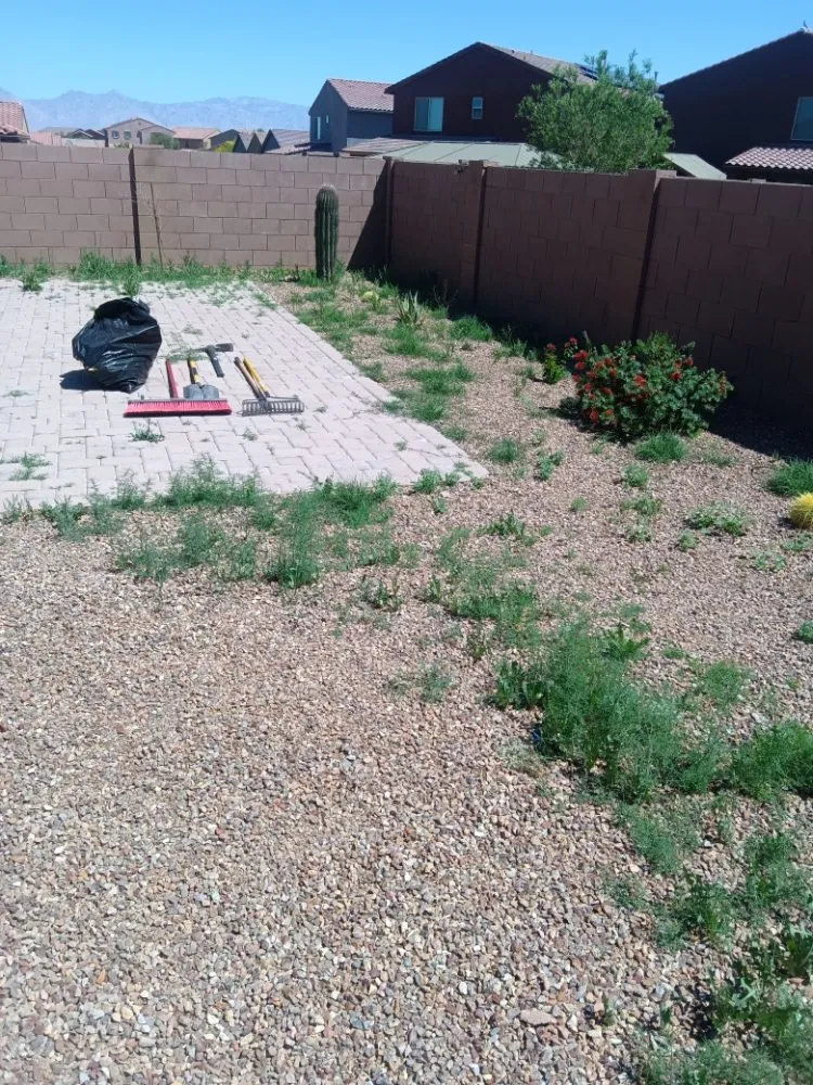 Reliable garden landscaping in Tucson, AZ by Lazo Landscape