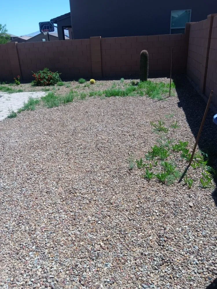 Expert yard maintenance in Tucson, AZ - Lazo Landscape