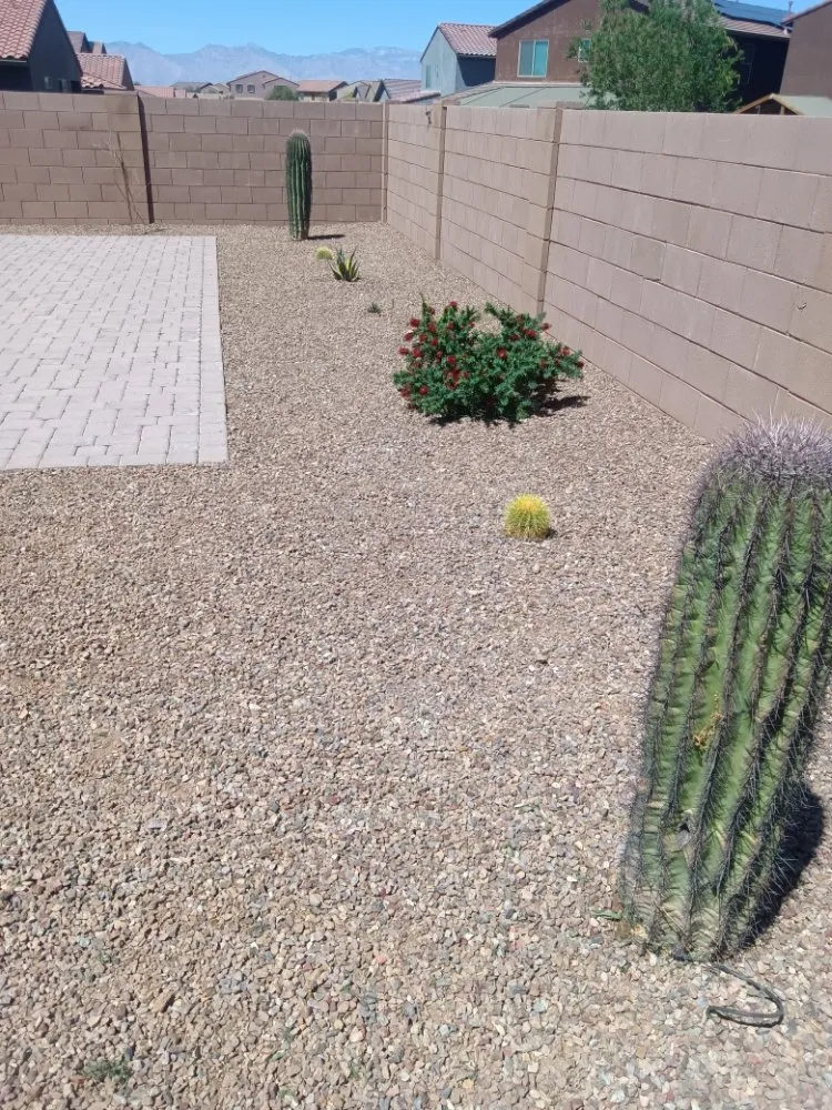 Trusted garden landscaping for year-round maintenance across Tucson, AZ - Lazo Landscape