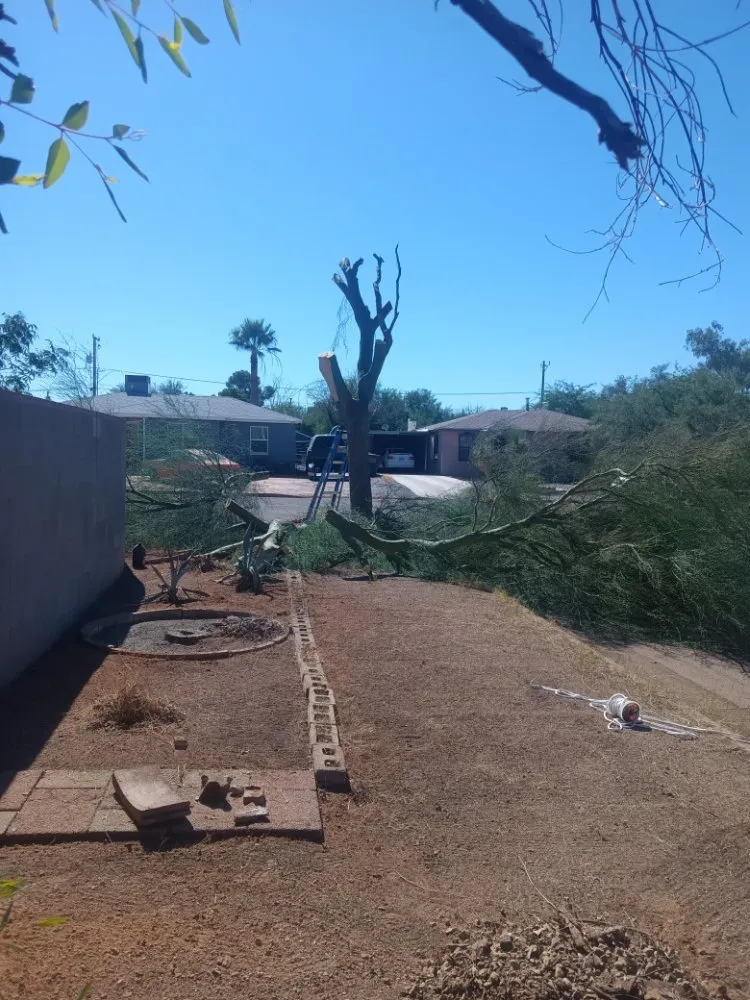 Trusted residential landscaping in Tucson, AZ - Lazo Landscape