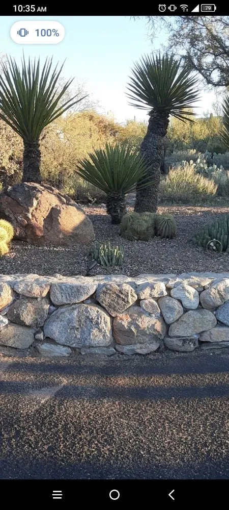 Custom lawn care service experts serving Tucson, AZ - Lazo Landscape