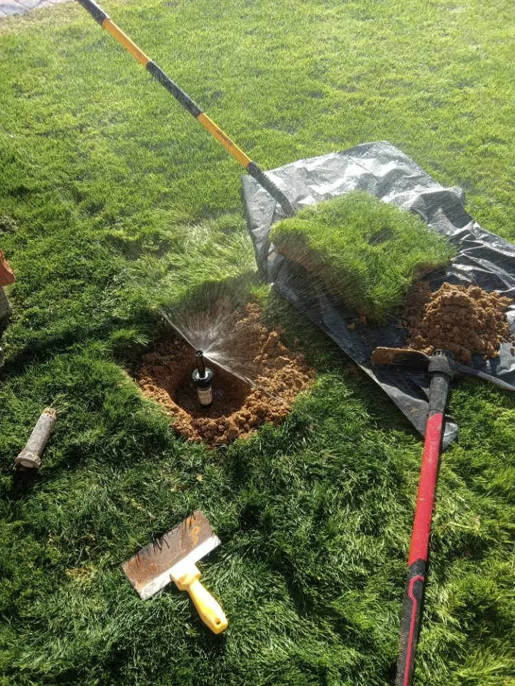 Affordable lawn mowing service in Tucson, AZ - Lazo Landscape