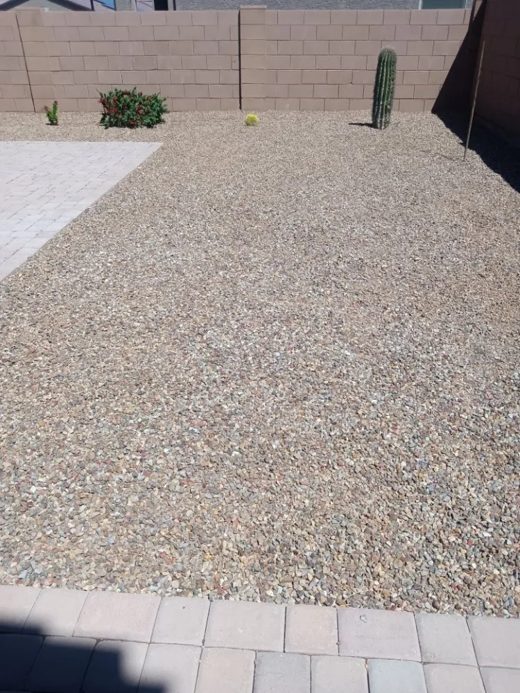 Local yard cleanup service experts serving Tucson, AZ - Lazo Landscape