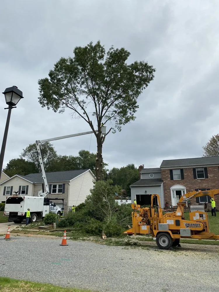 Custom landscape design in Middle River, MD by Lazo Landscaping