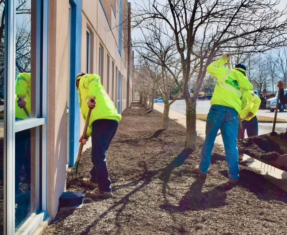 Top-rated residential landscaping experts serving Middle River, MD - Lazo Landscaping