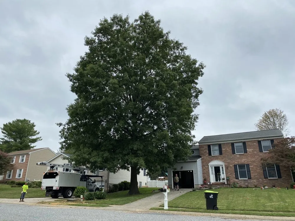 Top-rated garden landscaping for homes in Middle River, MD by Lazo Landscaping