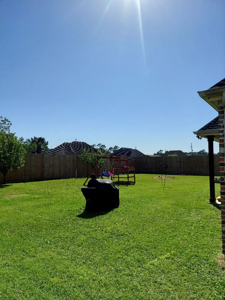 Professional residential landscaping for outdoor upgrades in Bridge City, TX by Lazy Cutz