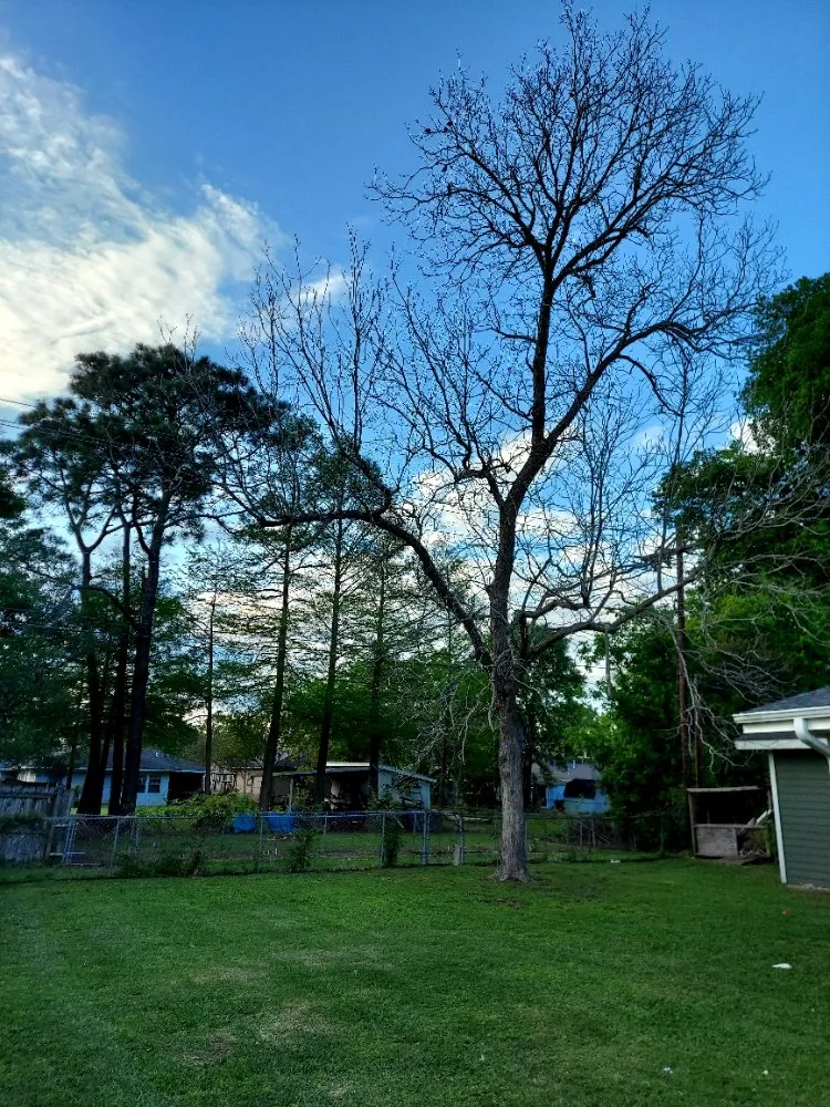 Custom garden landscaping for homes across Bridge City, TX - Lazy Cutz