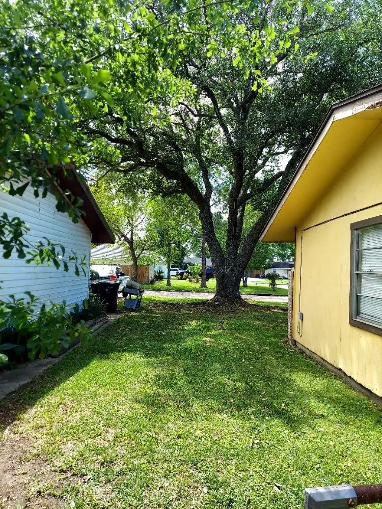 Expert landscaping services for residential properties across Bridge City, TX - Lazy Cutz