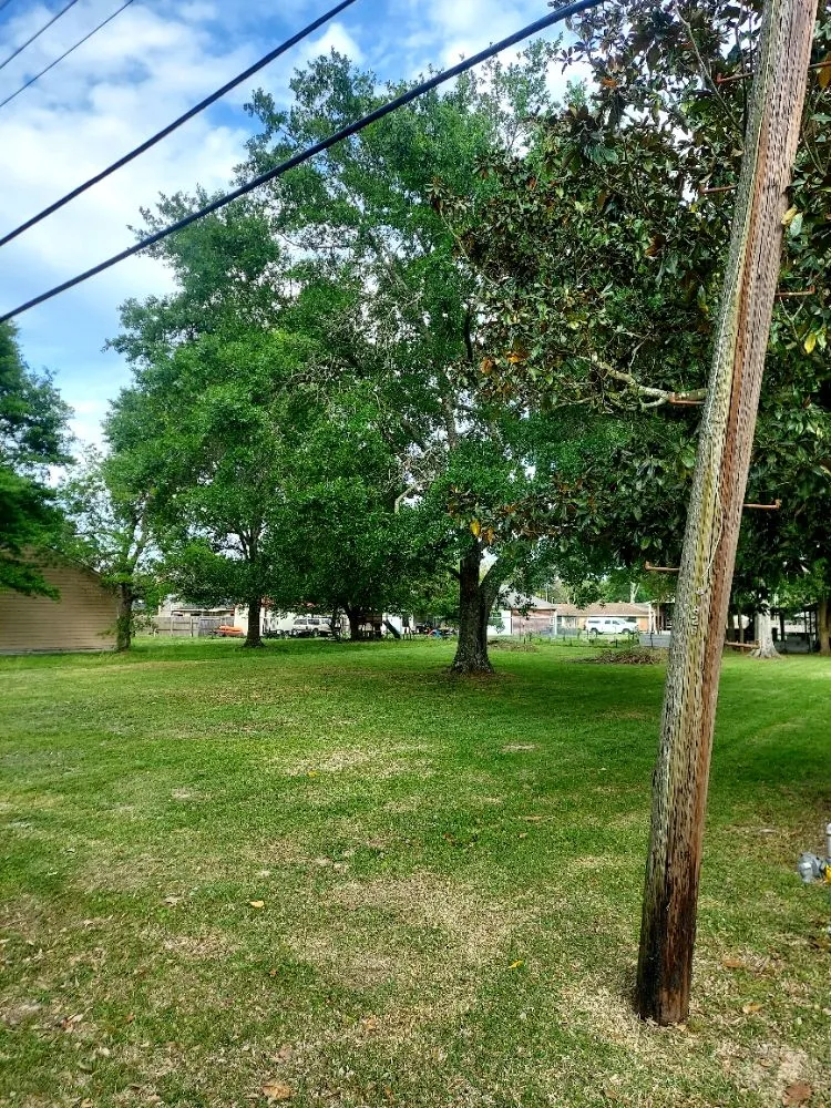 Custom landscape design near you in Bridge City, TX by Lazy Cutz