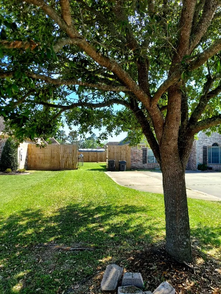 Affordable outdoor landscaping for outdoor upgrades across Bridge City, TX - Lazy Cutz