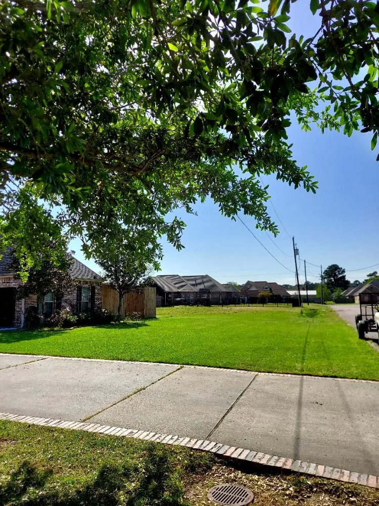 Trusted yard cleanup service in Bridge City, TX by Lazy Cutz