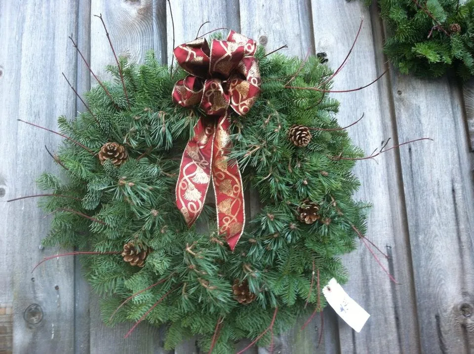 Professional yard cleanup service in Port Angeles, WA by Lazy J Tree Farm