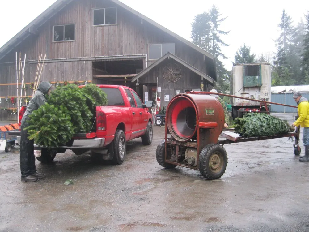 Affordable residential landscaping for homes in Port Angeles, WA by Lazy J Tree Farm