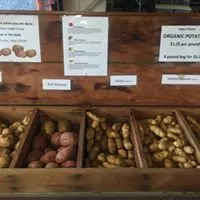 Trusted outdoor landscaping near you across Port Angeles, WA - Lazy J Tree Farm