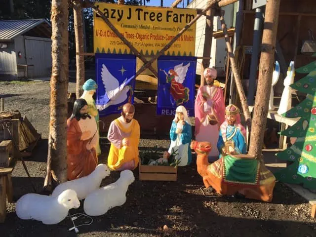 Top-rated landscape installation in Port Angeles, WA by Lazy J Tree Farm