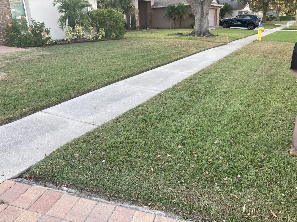 Top-rated lawn care service for beautiful yards in Brandon, FL by Lazy Merritt Lawn Care
