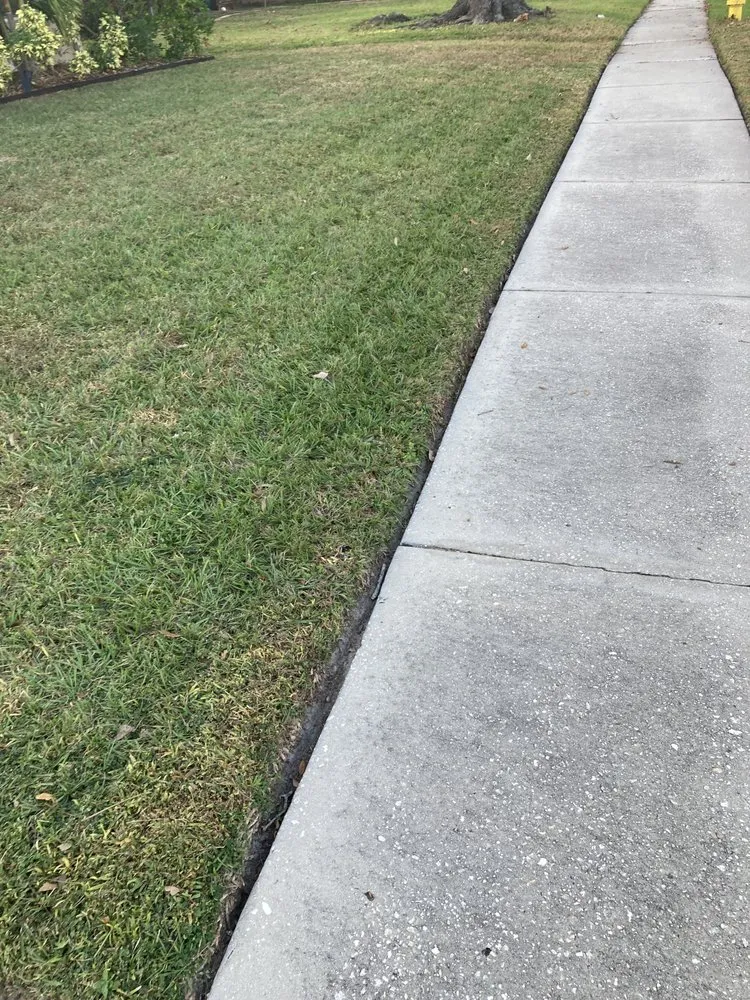 Custom garden landscaping in Brandon, FL - Lazy Merritt Lawn Care