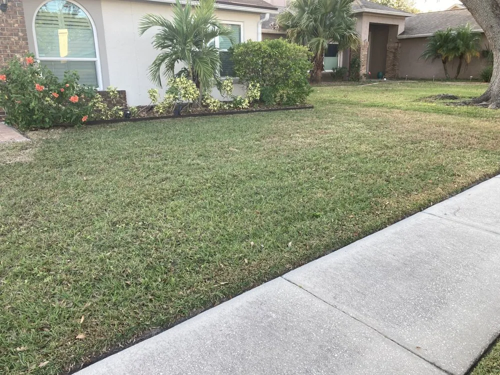 Custom residential landscaping in Brandon, FL by Lazy Merritt Lawn Care