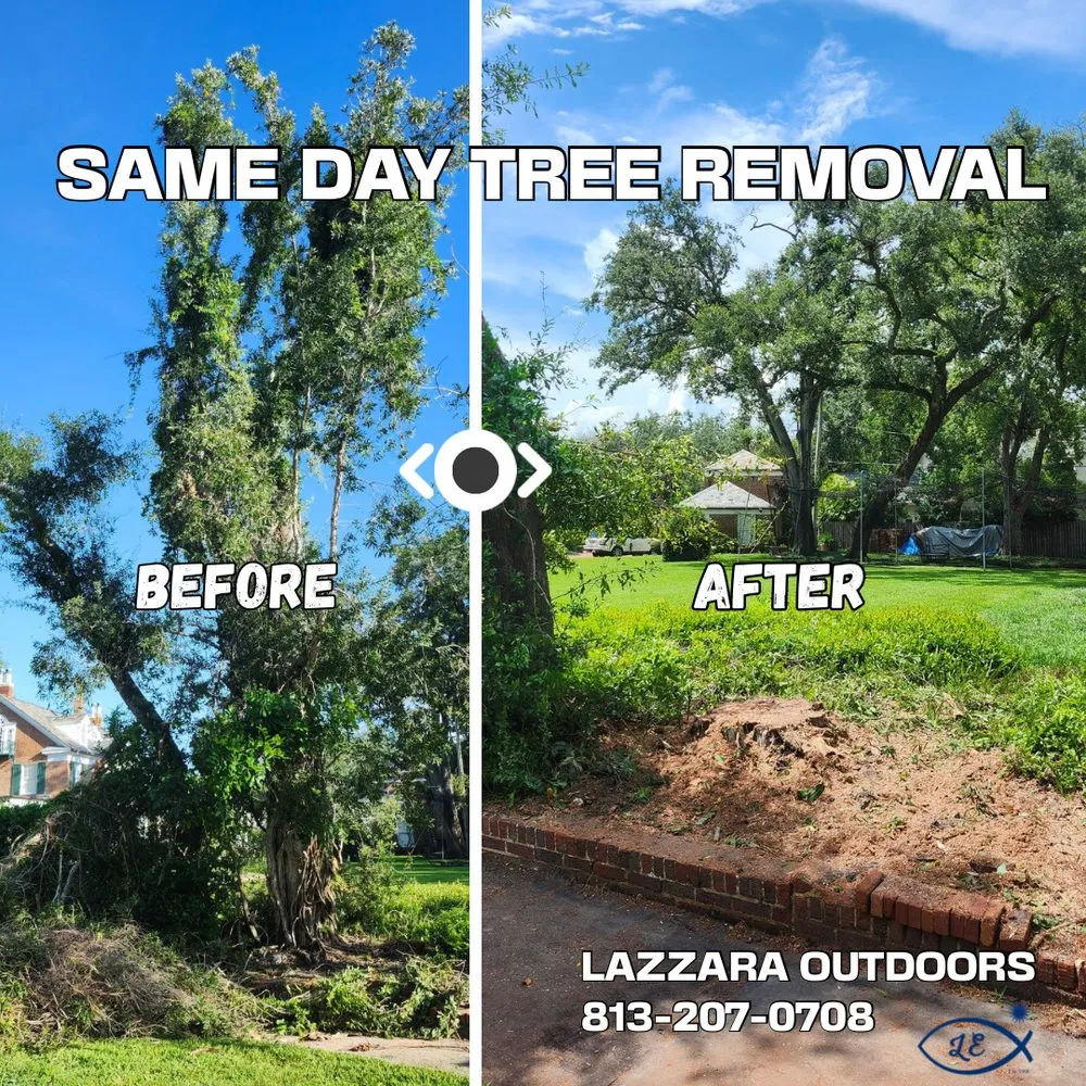 Top-rated landscape design in Tampa, FL by Lazzara Outdoors