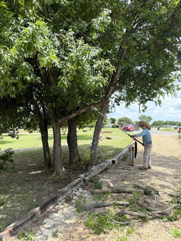 Reliable landscape installation in Kaufman, TX by Lazzio lawncare