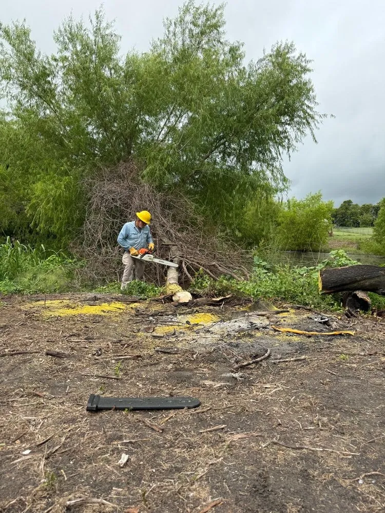 Reliable residential landscaping in Kaufman, TX - Lazzio lawncare