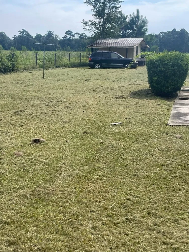 Local yard cleanup service near you in Allenhurst, GA by Lb & Jays Lawncare
