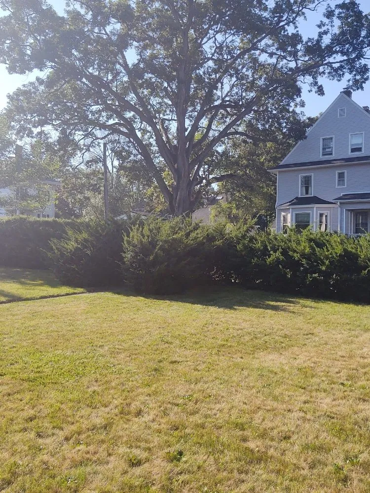 Reliable yard cleanup service in New Britain, CT by LB Family Lawn Care & Snow Removal