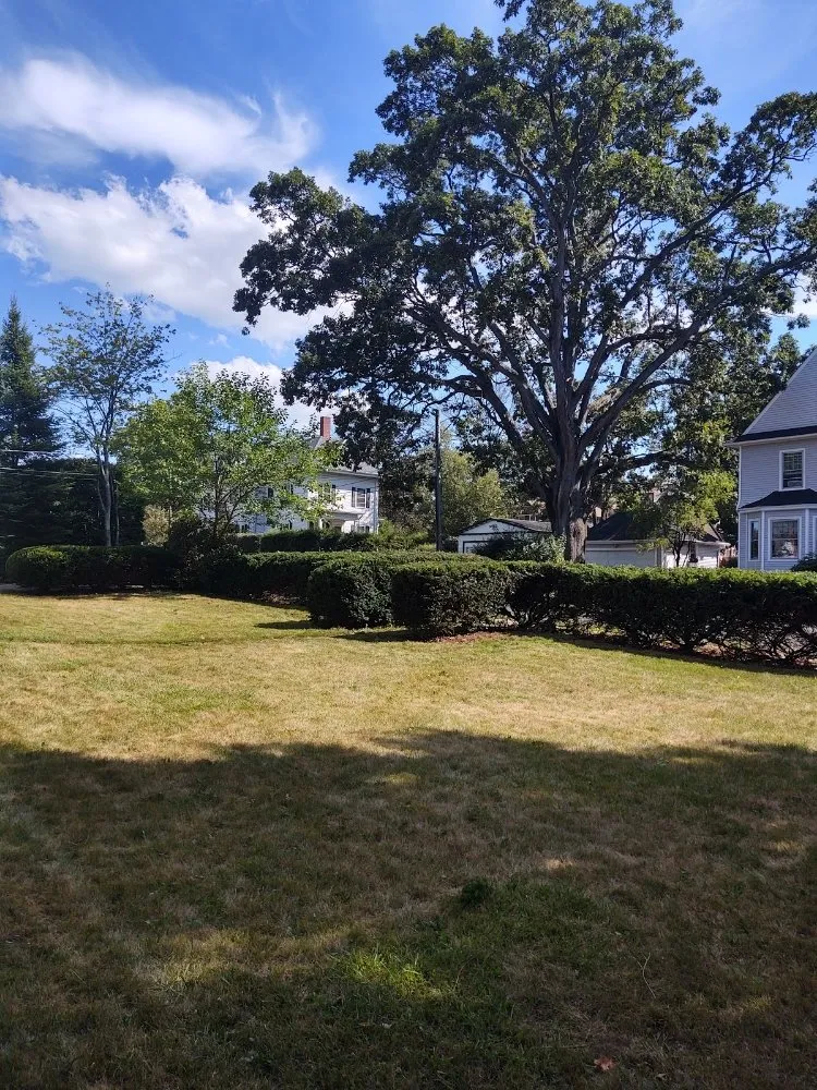 Professional landscape design in New Britain, CT - LB Family Lawn Care & Snow Removal