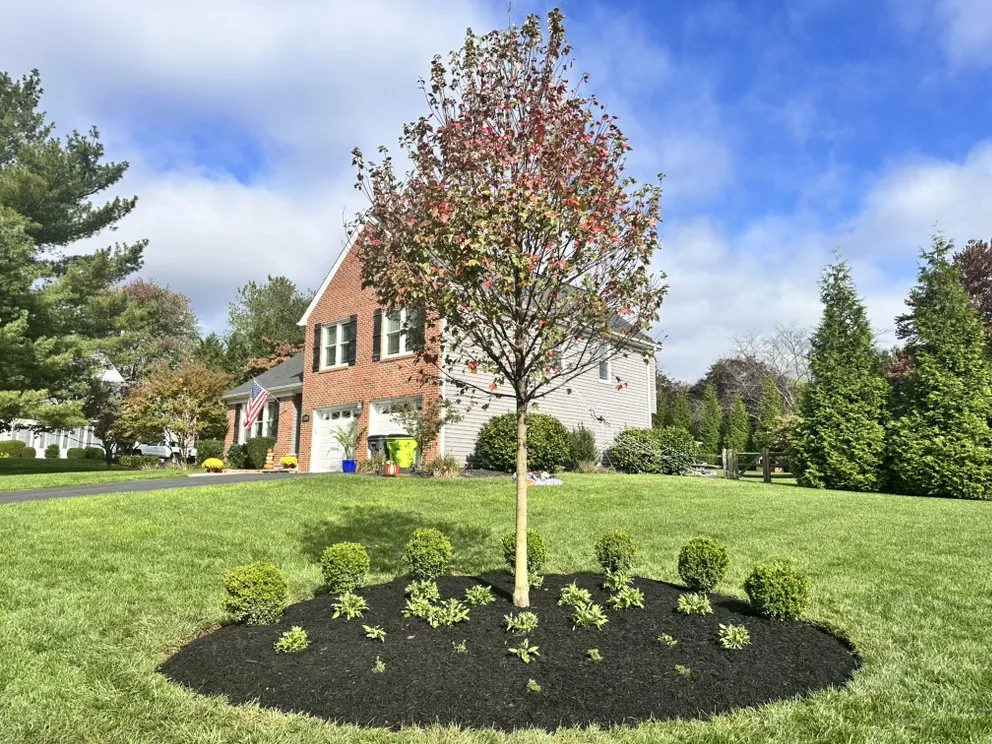 Custom yard cleanup service experts serving Edgewood, MD - Lb Landscaping & Lawncare