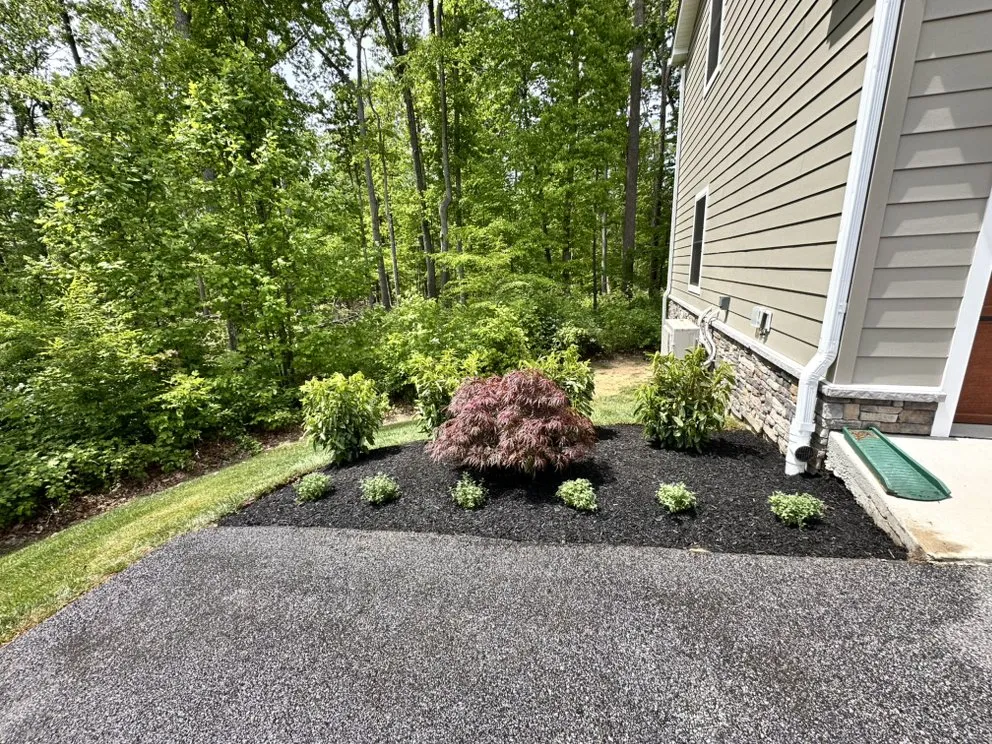 Trusted yard cleanup service in Edgewood, MD - Lb Landscaping & Lawncare