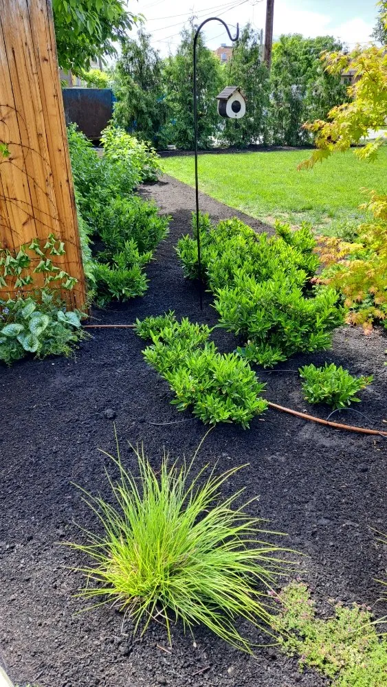Professional landscaping services in Salt Lake City, UT - L&B Landscaping