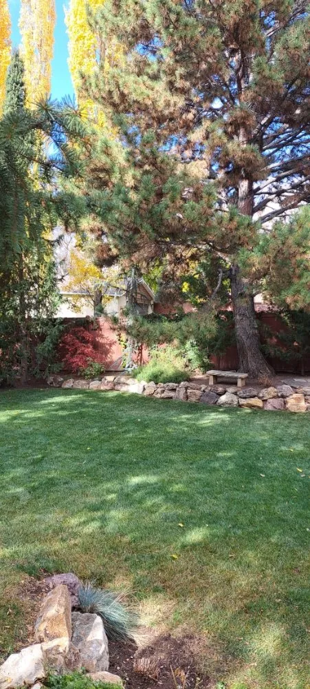 Local landscape installation near you in Salt Lake City, UT by L&B Landscaping