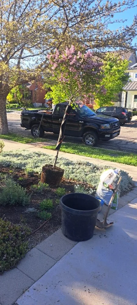 Affordable yard cleanup service for year-round maintenance in Salt Lake City, UT by L&B Landscaping