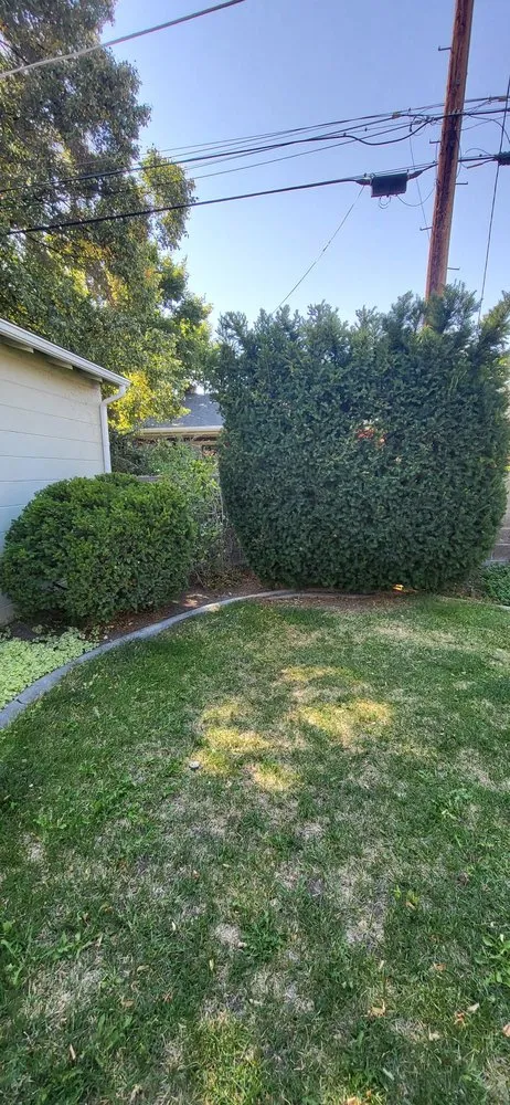 Trusted lawn care service in Salt Lake City, UT - L&B Landscaping