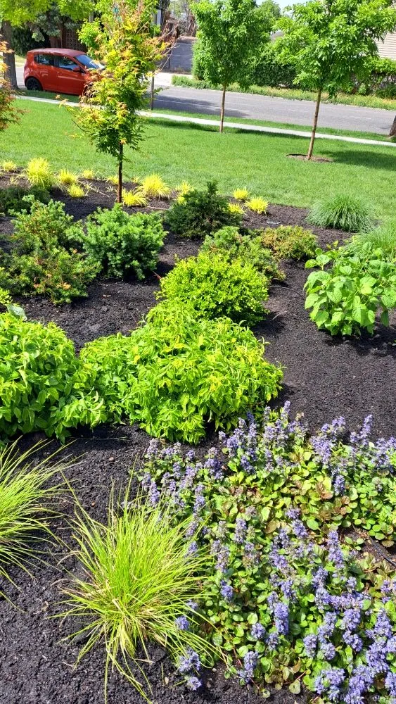 Reliable landscaping services in Salt Lake City, UT by L&B Landscaping