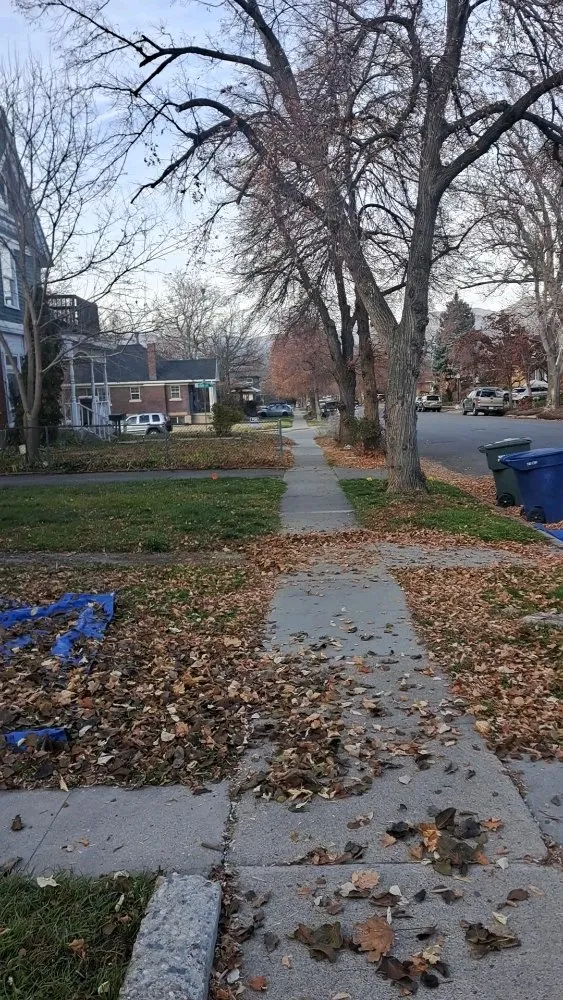 Professional landscape design experts serving Salt Lake City, UT - L&B Landscaping