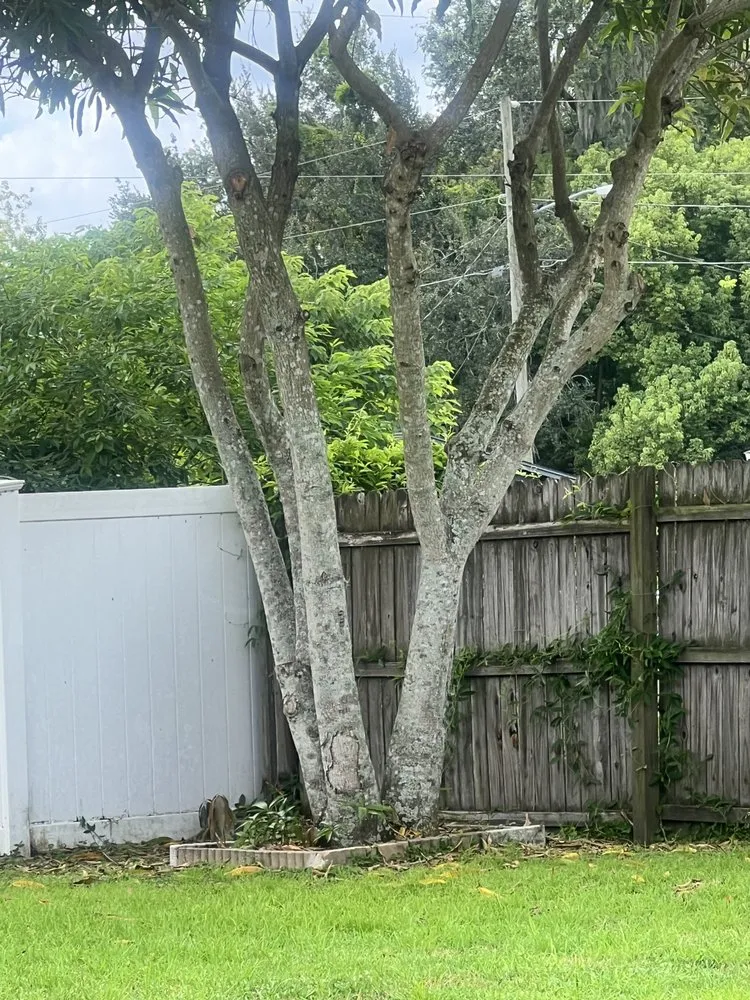 Affordable lawn mowing service for year-round maintenance across Orlando, FL - LB Landscaping Services