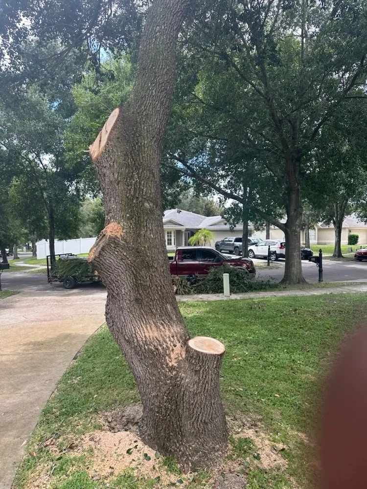 Reliable yard maintenance for outdoor upgrades in Orlando, FL by LB Landscaping Services