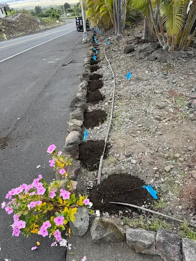 Expert landscape design in Kailua-Kona, HI - LB Landscaping Solutions
