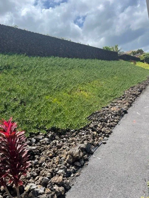 Custom yard cleanup service in Kailua-Kona, HI by LB Landscaping Solutions