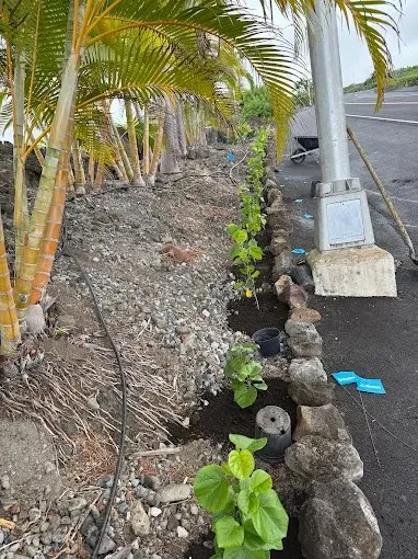 Reliable lawn care service in Kailua-Kona, HI - LB Landscaping Solutions