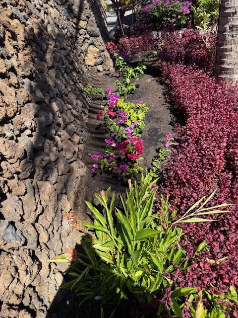 Expert lawn mowing service in Kailua-Kona, HI - LB Landscaping Solutions